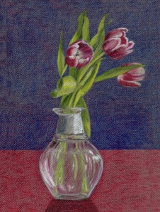 Red tulips2