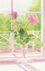 Rose on windowsill