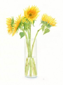 Sunflowers (1)
